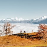 VTT Pfynn-Finges